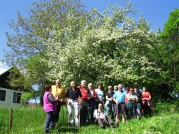 2014 Baumbluetenwanderung